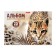 Album for drawing A4, 20 sheets, block 120 g/m², glue, Erich Krause "Wild Cat", 100% whiteness, solid substrate
