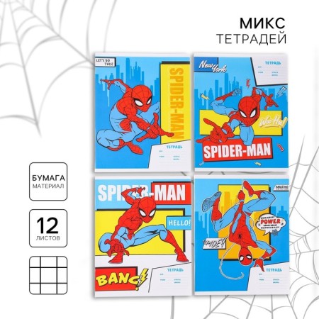 Notebook in a cage 12 sheets, 4 types of mix, cover coated paper, spider-man