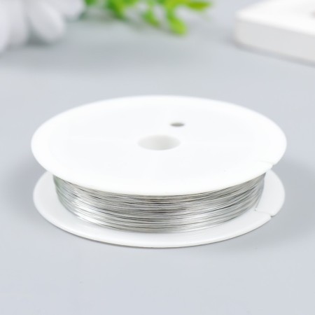 Wire for creativity "Astra" 0.3 mm, 30 m, silver-1