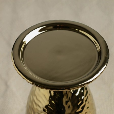 Brill Climber 20x11cm-1