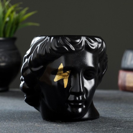 Kashpo - Organizer "David's head" Black with gold, 11x10x11cm