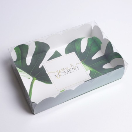 Cookie box, confectionery packaging with PVC lid, eco, 20 x 30 x 8 cm-1