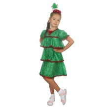 The carnival costume 