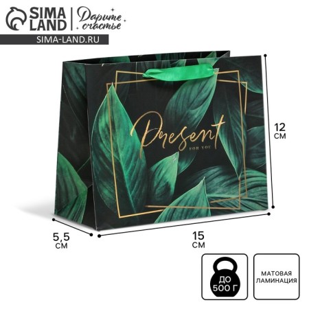 Gift laminated horizontal, packaging, Present for You, S 15 x 12 x 5.5 cm
