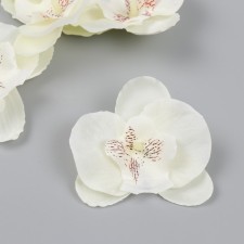 A bud on the leg for decoration 