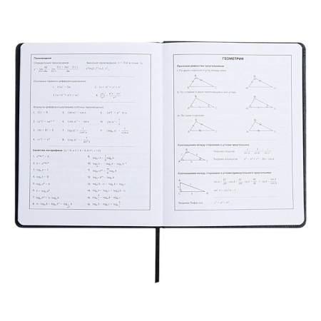 School diary for grades 1-11, solid cover, artificial leather, applique, pancake embossing, metal scenes, silk-screen water, lies, 48 ​​sheets, block 80g/m2, blue-9
