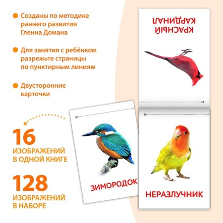 Books "Cards of Doman. The world around us ”, set, 8 pcs. 20 p.-1