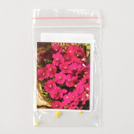 Picobella flowers, F1, Carmin, Global Seeds, 10 pcs