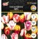 Tulip Rembrandt Mix, river 11/12, 5 pcs, autumn 2024