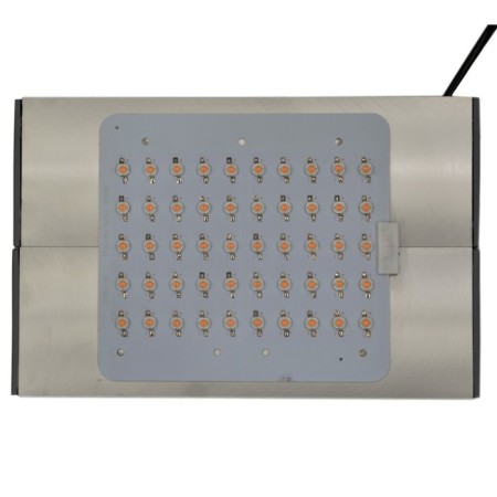 Fitopanel "Segin" at the full spectrum LEDs with a total capacity of 50W