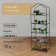 Rabbage for seedlings, 5 shelves, 190 × 65 × 40 cm, metal frame d = 16 mm, without a case, collapsible