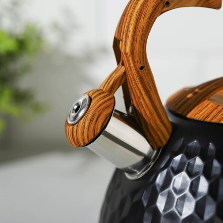 A kettle with a stainless steel whistle Magistro Heat, 3 L, TRS, Induction, Soft-Touch Hand, Black Color Black-10