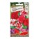 Flowers of Petunia Tensor "Duo Dance of Butterflies", a mixture