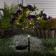 Garden lamp on the solar battery "Bush rose", 62 cm, 28 LED, glow warm white