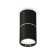 Ambrella Light overhead lamp, XS6302081, MR16 GU5.3 LED 10 watts, black sand, silver color