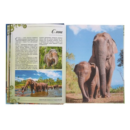 A big book about animals. 1001 photography. Ermakovich D.I.-4