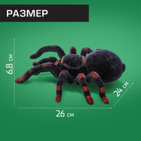 Radio -controlled spider "Tarantula", works on batteries, lighting effects-1