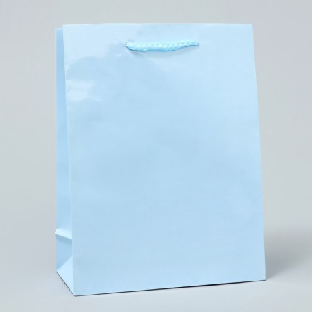 Gift Package Laminated, Packaging, Blue, MS 18 x 23 x 8 cm-1