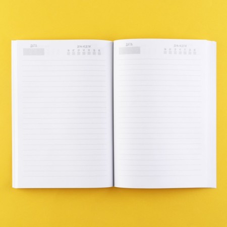 Diary A5, 80 L "Case in the Hat" 18+-2