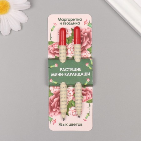 Growing gift pencils mini "Margarita + clove" set 2 pcs.