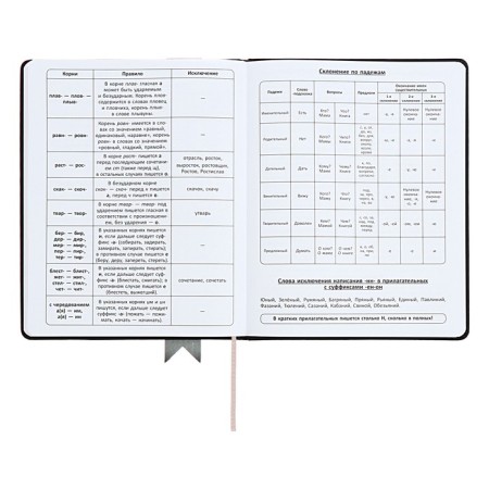 Universal diary for grades 1-11 Lenta, solid cover of artificial leather, applique, silkography, liesse, 48 sheets, black-10