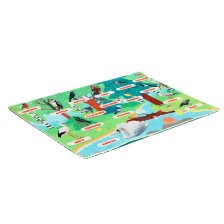 Game - designer "Studying birds" 16 details-3