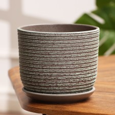 Flower Pot 