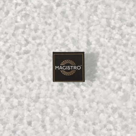 Glass Serving Magistro "Shine", 16 × 32 × 1.5 cm, silver color-6
