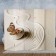 Shirma "Butterfly. Decor 3", 250 x 160 cm