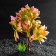 Artificial aquarium plant, 15.5 x 12 x 20.5 cm