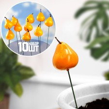 Set of plugs 