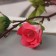 Artificial flowers "Rose mini carnival" 70x4 cm, pink