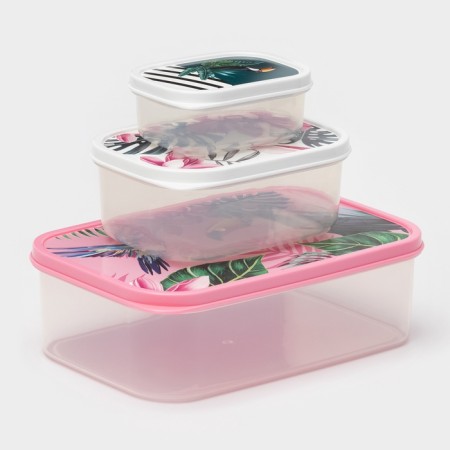 A set of containers of food shares “Tropics”, 3 pcs: 150 ml, 500 ml, 1.2 l, rectangular