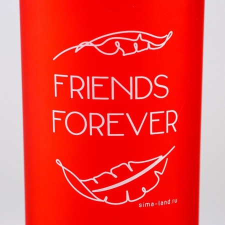 Set of drinking bowl and silicone bowl "Friends forever"-5
