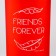Set of drinking bowl and silicone bowl "Friends forever"