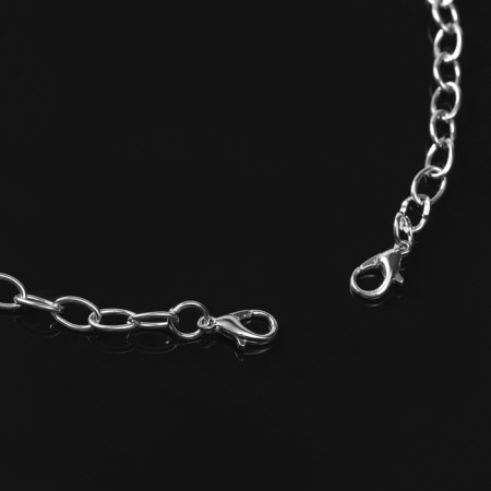 A chain with a carbine l = 60 cm (set 5 pcs.) 3 × 2 mm, cm-1935, color, color silver-1