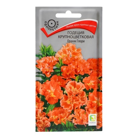 Flower seeds Godegia Large -flowered "Orange Glori", 0.2g.