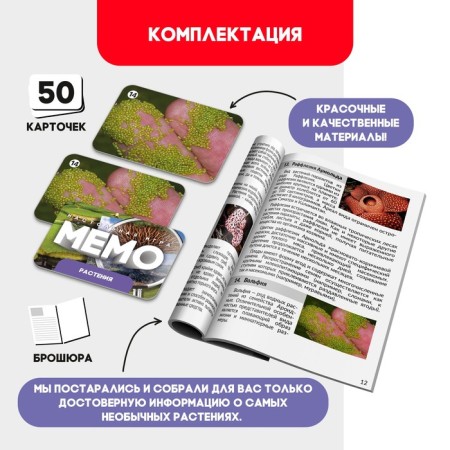 Memo "Plant"-1