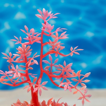 The artificial aquarium, luminous plant, 10 cm, red-2