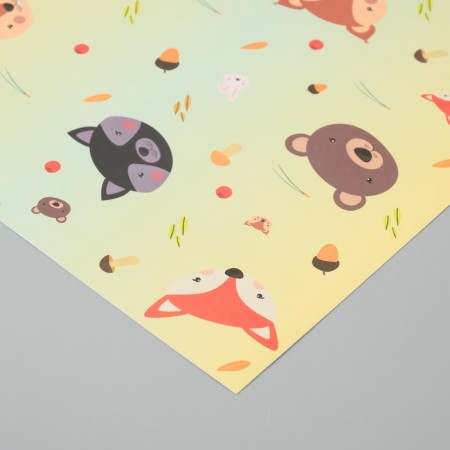Scrapbooking paper bilateral "Forest animals and mots" density 180 grams set 5 pcs 30.5x32 cm-1