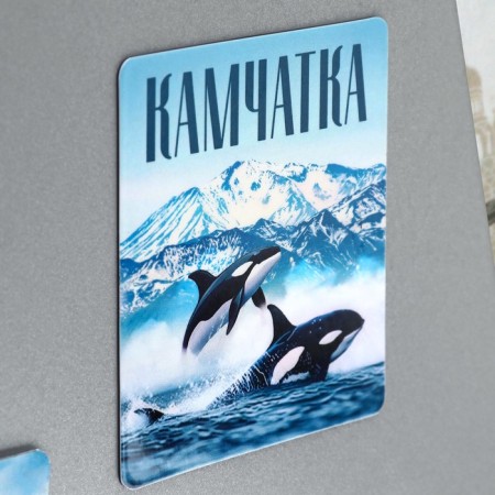 Vinet Vinyl "Kamchatka" 6 x 7 cm-1