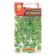 Parsley seeds leaf festival c/n 2g