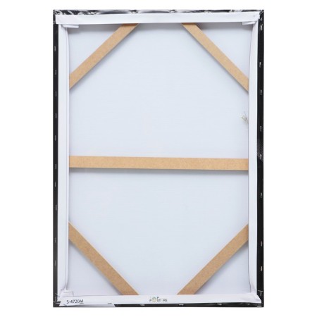 Picture- canvas on the subframe "Lady" 50*70cm-2