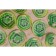 Plate Glass Pirozhot shares "Romantic kiwi", D = 18 cm