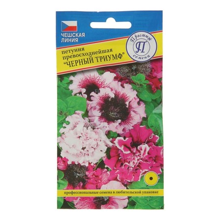 Petunia flowers are excellent "black triumph", oh, dragees 10 pcs