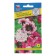 Petunia flowers are excellent "black triumph", oh, dragees 10 pcs