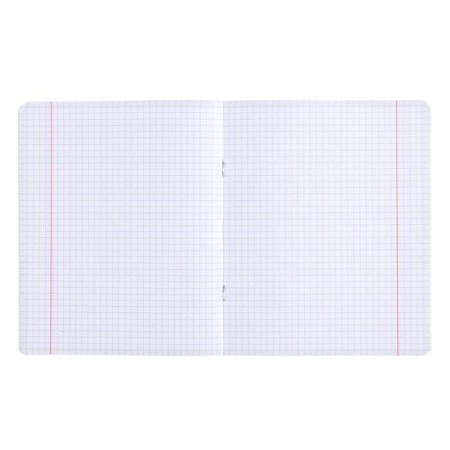 Notebook 12 sheets, in a cage, a “cat in a pocket”, a covered cardboard, an offset block, mix-1