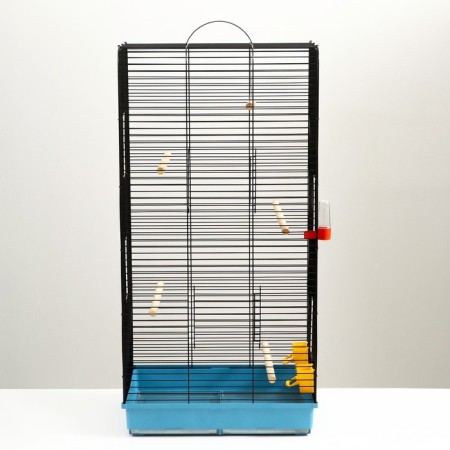 Ricky 5 birds, 48 ​​x 36 x 97 cm, mix of flowers-1