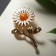 Brooch "Flower" chamomile, white color in gold