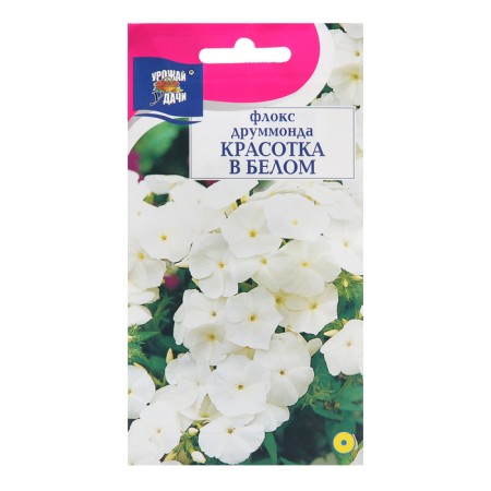 Flowers Flox "Beauty in White", 0.1 g